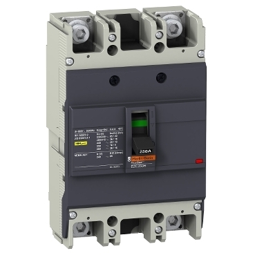 Автоматический выключатель Schneider Electric EasyPact TVS EZC250H2160