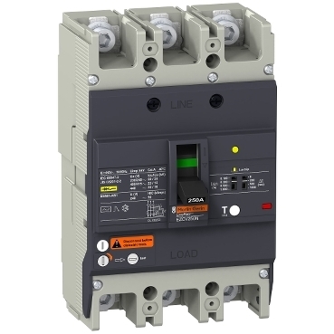 Дифференциальный автоматический выключатель Schneider Electric EasyPact TVS EZCV250N3063
